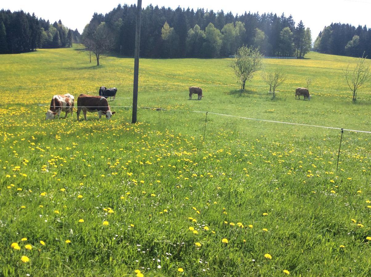 Ferienbauernhof Koller Helfenberg Exterior foto