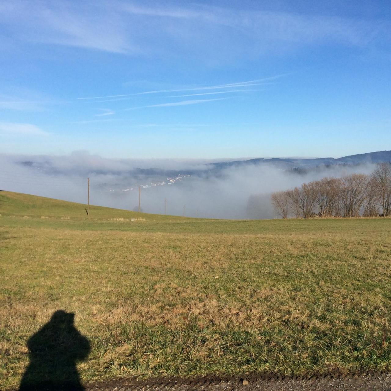 Ferienbauernhof Koller Helfenberg Exterior foto