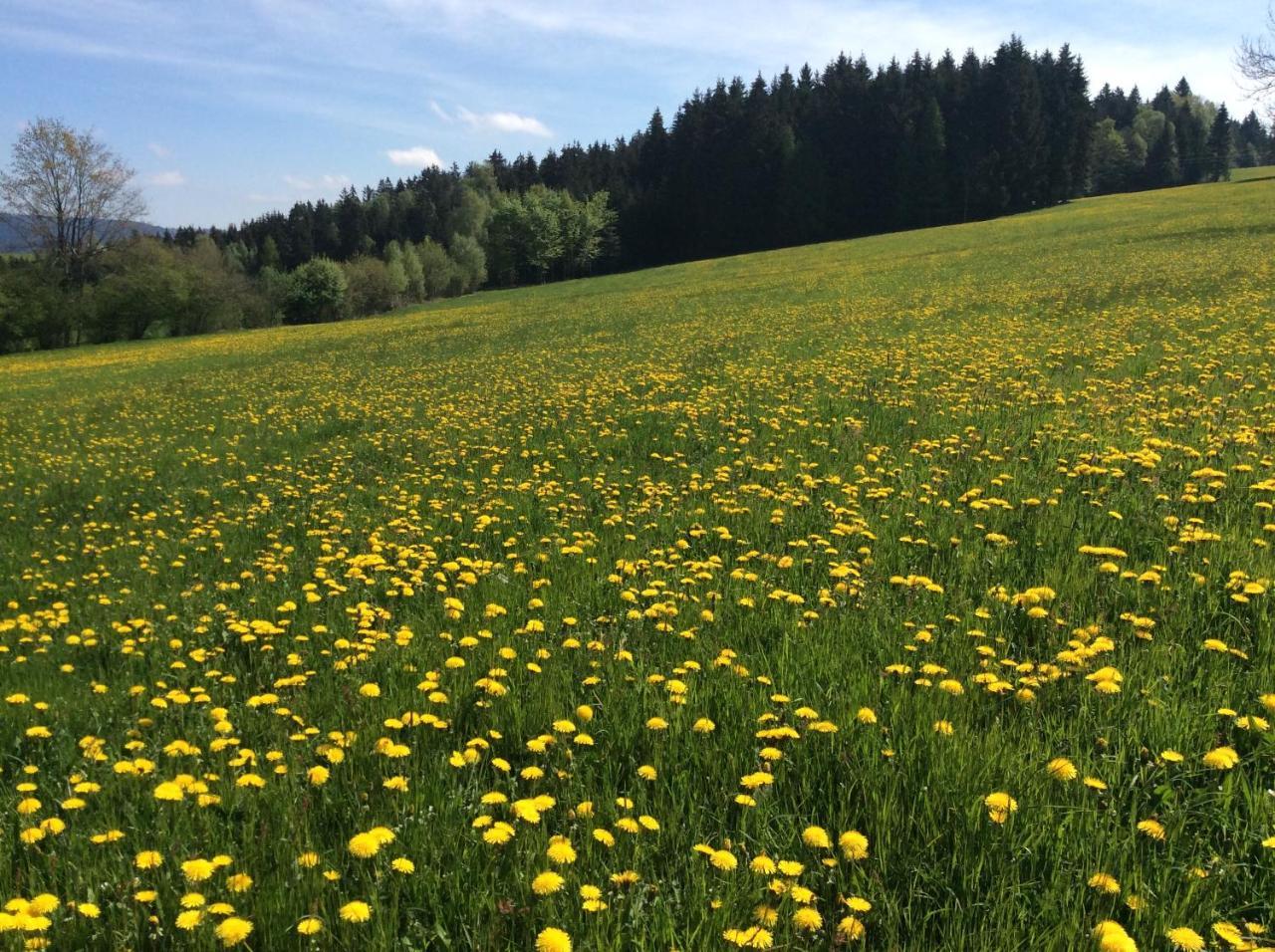 Ferienbauernhof Koller Helfenberg Exterior foto