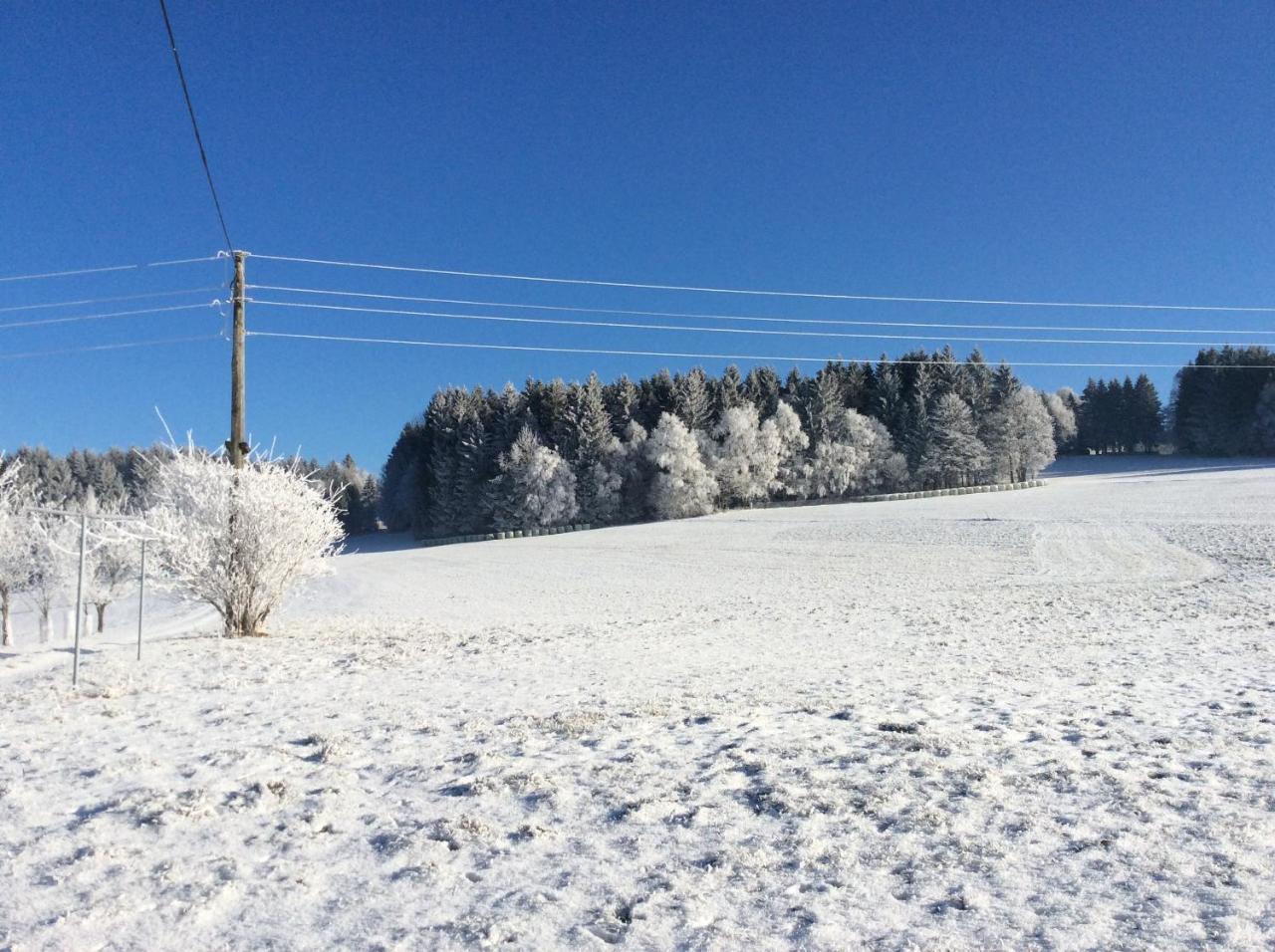 Ferienbauernhof Koller Helfenberg Exterior foto