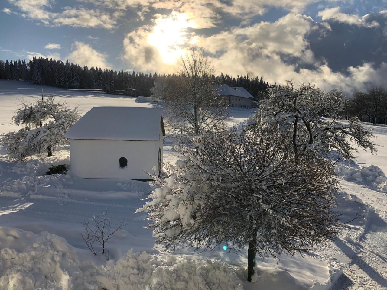 Ferienbauernhof Koller Helfenberg Exterior foto